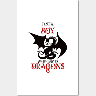 Just a boy who loves dragons Posters and Art